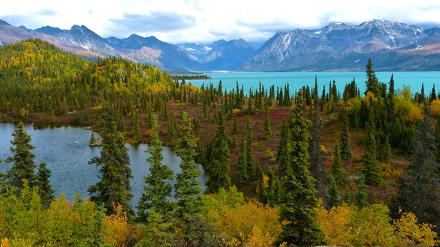 A turquoise lake surrounded by mountains and forest in fall color.