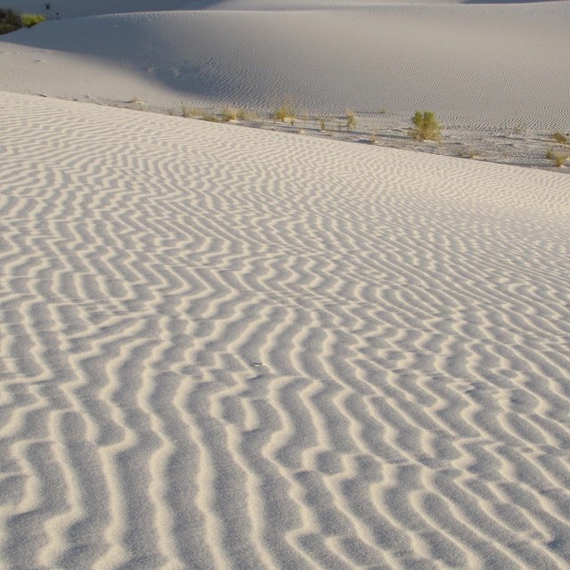 ripples through white sand