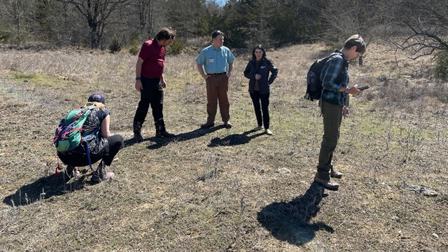 People in a field, looking closely at various things.