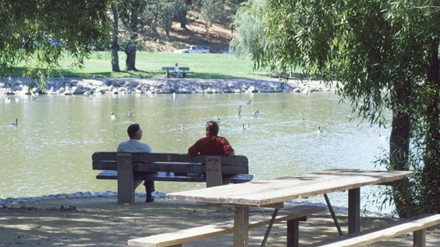 two people sitting on a bench on a sandy shore overlooking a pond with geese