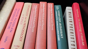 Close-up of the vertical spines of library books