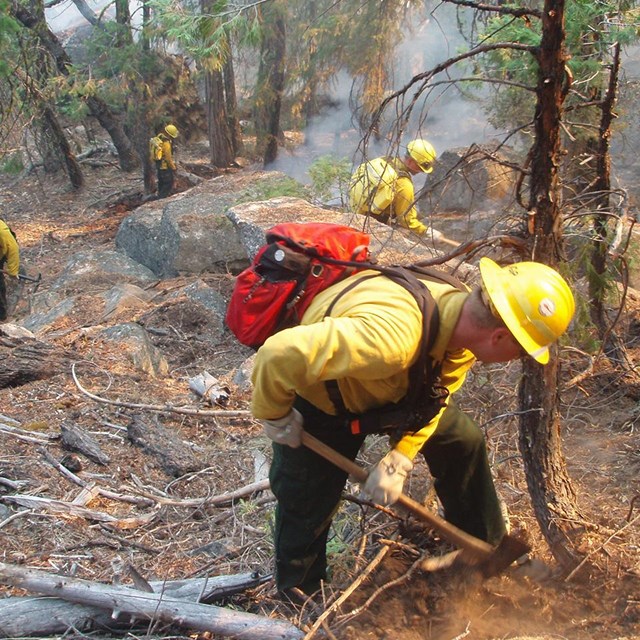 Wldland firefighters using hand tools to dig fireline in a forested area.