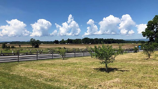 The orchard at the Mary Thompson House at Gettysburg National Military Park.