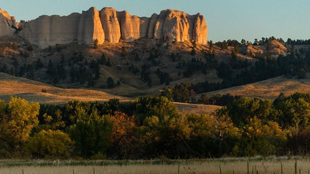 Buttes and golden grasslands.