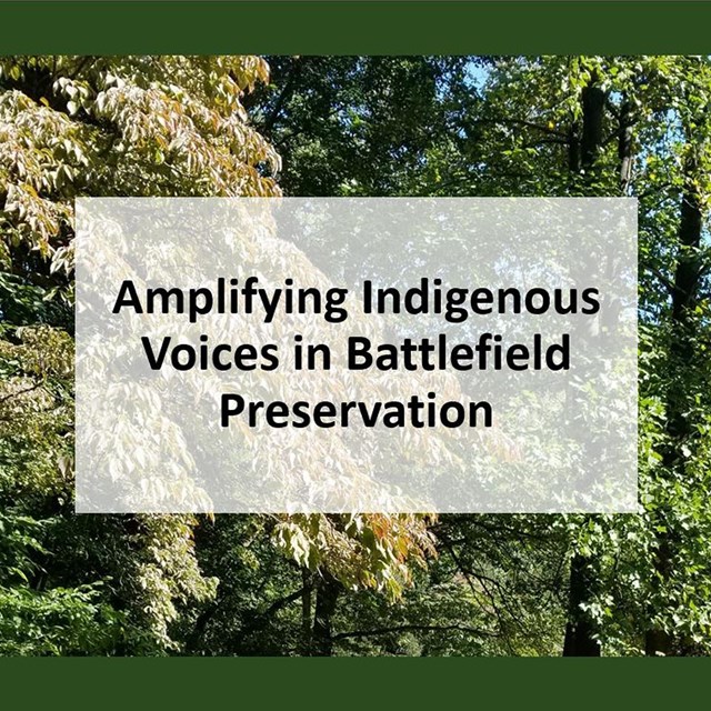 Opening slide for webinar with lush trees in background. Reads “Amplifying Indigenous Voices in Batt