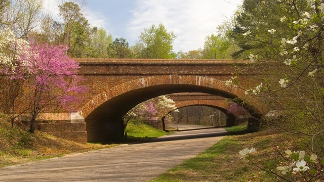 The meticulous landscaping undertaken during the construction of the Colonial Parkway in the 1930s.