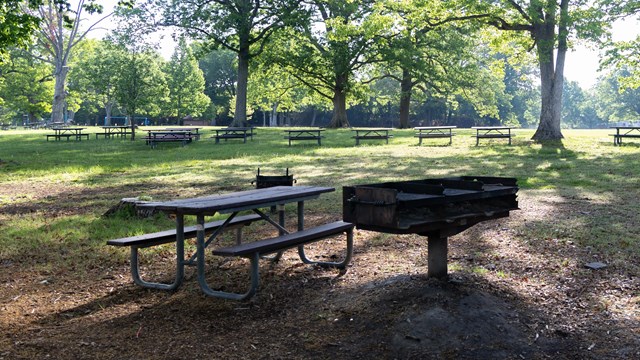 A picnic table and grill in a shady park setting.
