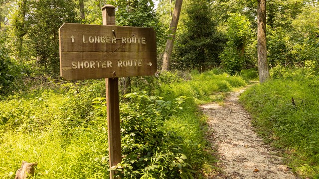 A directional sign stands at the crossroads of Dogwood Trail reads "Longer Route, Shorter Route"