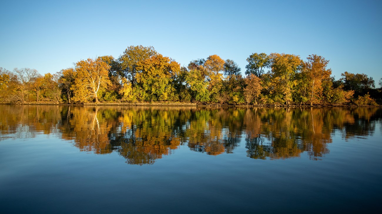 Two canoes in a river