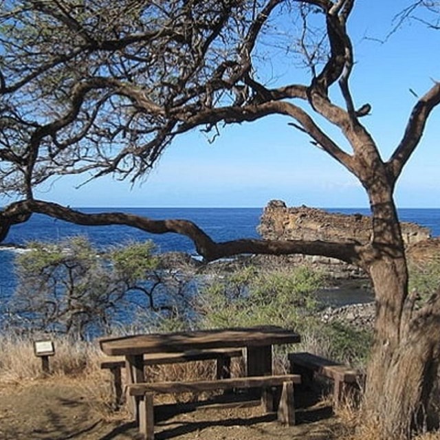 Site of Kamehameha I's house at Kaunolu Village Site, Lanai, Hawaii Photo by Joel Bradshaw, CC0