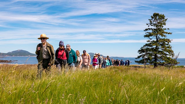 Ranger leads visitors walking single file through a field with a coastline and mountain in distance