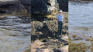 an image of a ranger standing on rocks at low tide overlayed over rocks filled with water