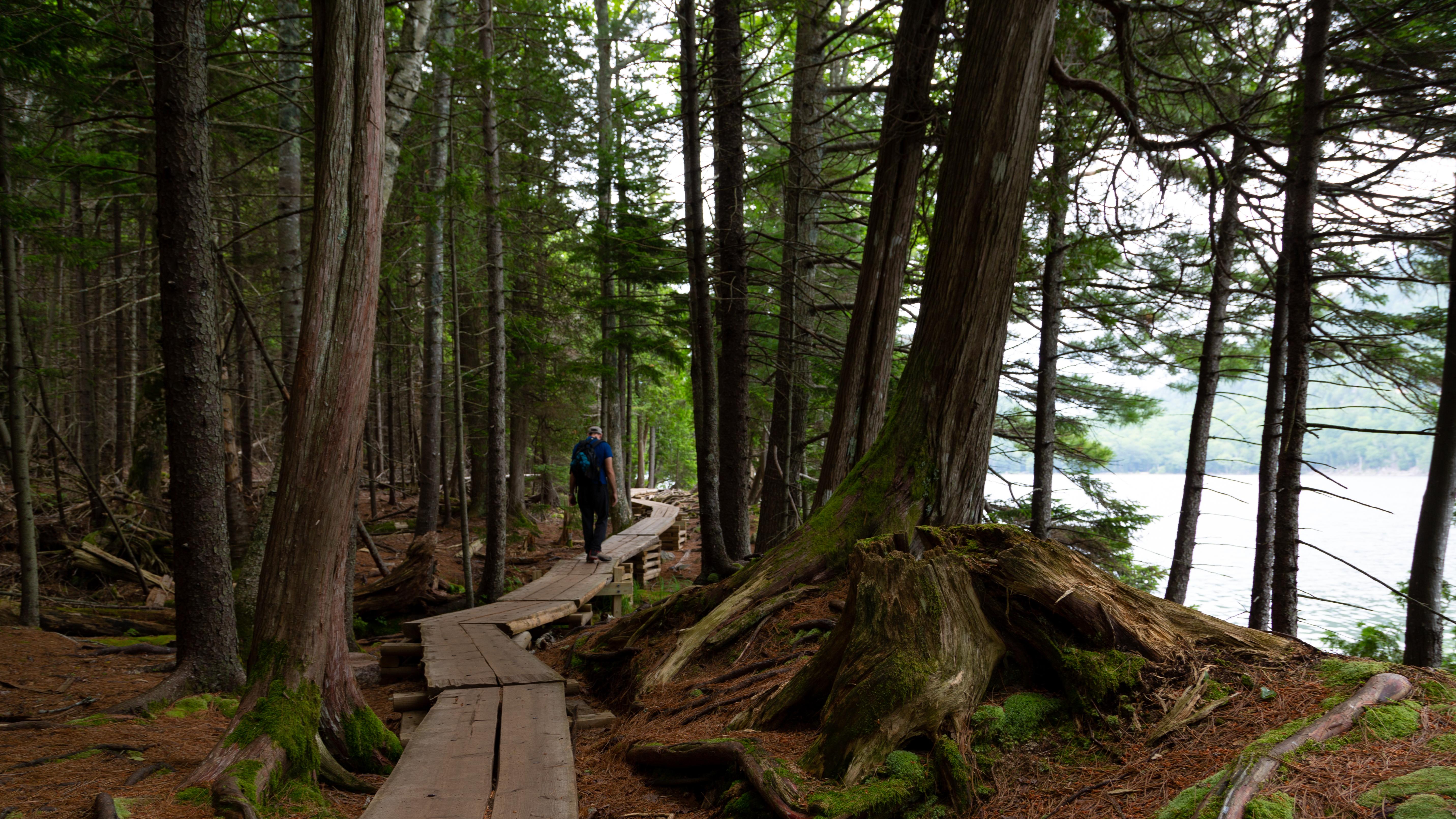 Person walking on a boardwalk along lake