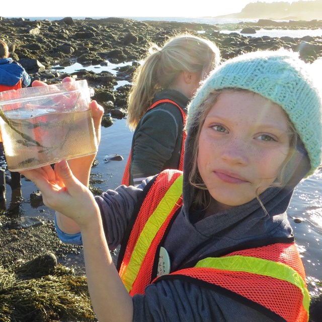 Student holds algae found during tide pool exploration