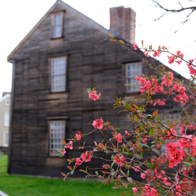 brightly colored flowers bloom in front of a historic 2-story wooden home