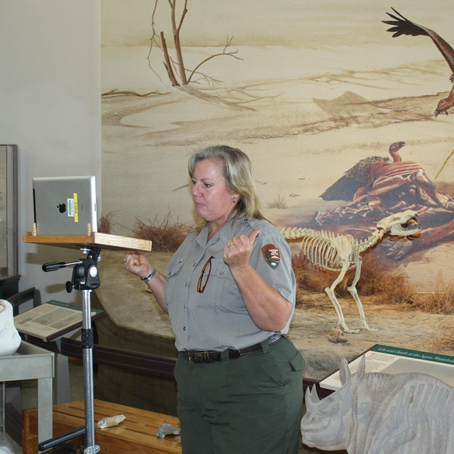 Female ranger talking to an ipad on a stand in front of fossil skeleton