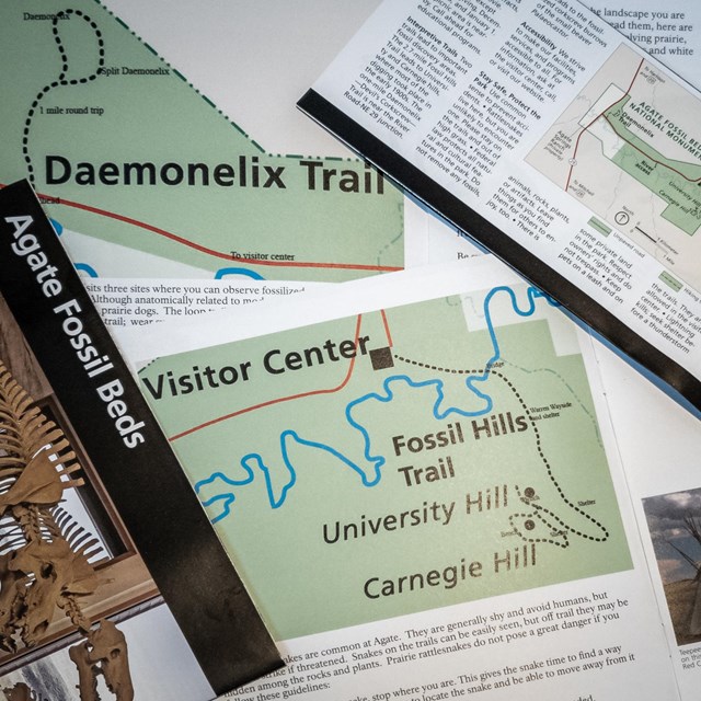 Park and trail maps scattered across a counter