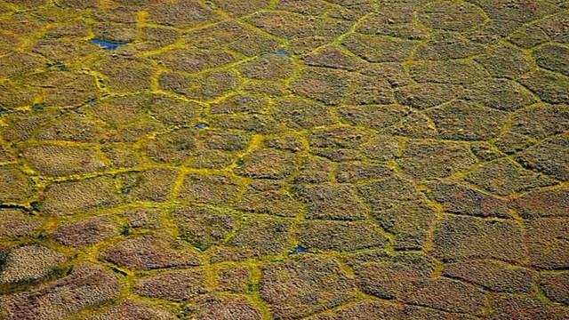 Aerial view of permafrost polygon patterns in the tundra.
