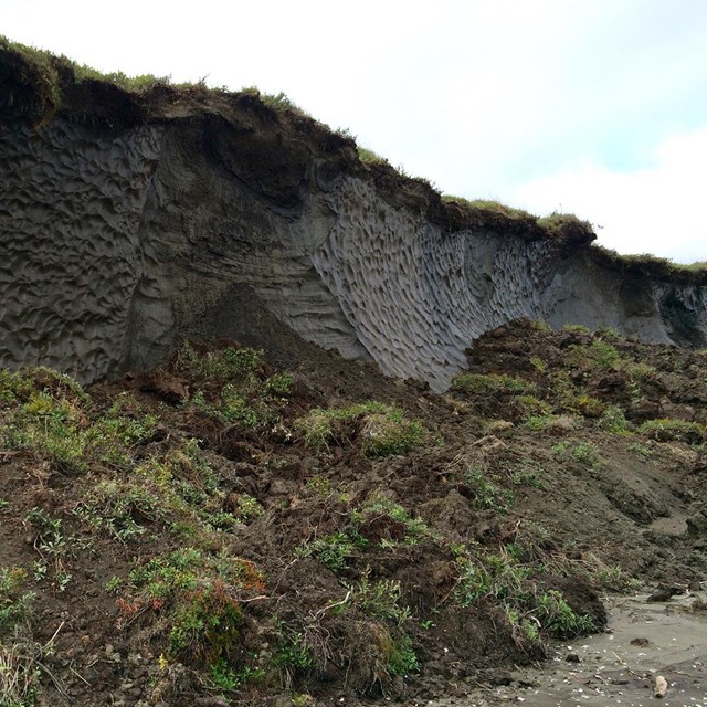 An eroded permafrost coastal bluff.