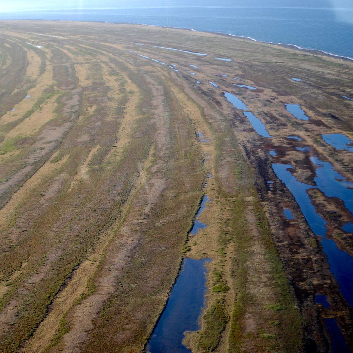 An aerial view of the beach ridges in Cape Krusenstern.