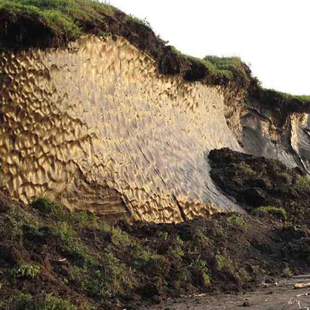 Exposed yedoma permafrost along an eroding coastline.