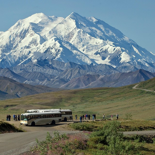 A view Denali with a bus and tourists