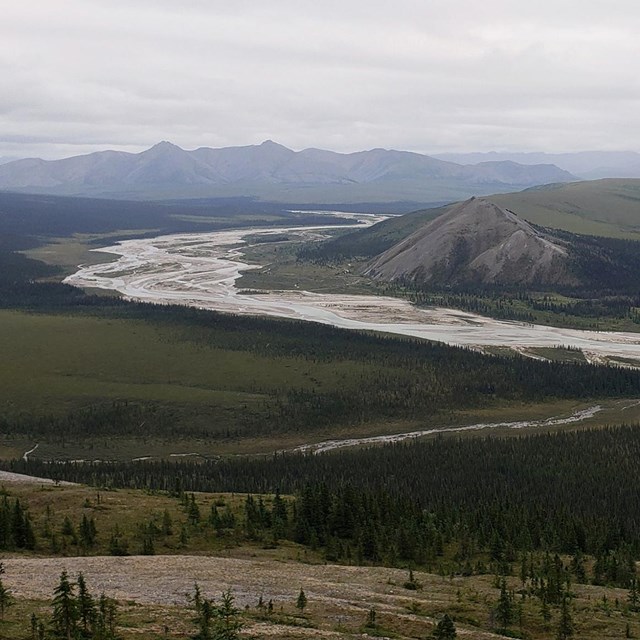 A river valley surrounded by mountains and forest.
