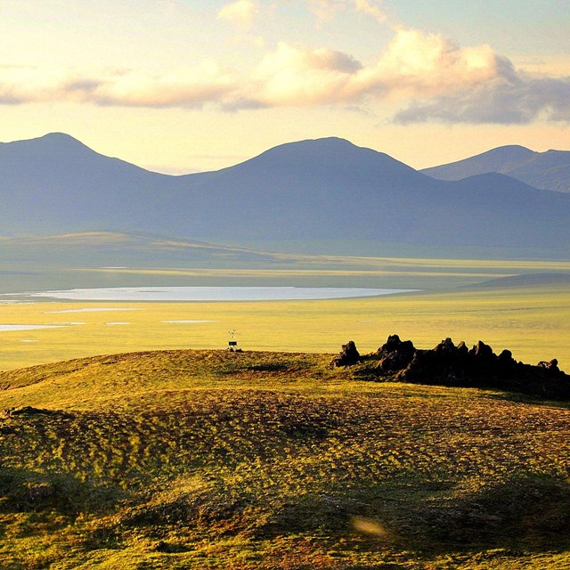 A golden Arctic landscape from Howard's Pass.