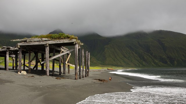 an old dock with worn beams and grass growing on the platform stretches into the ocean.
