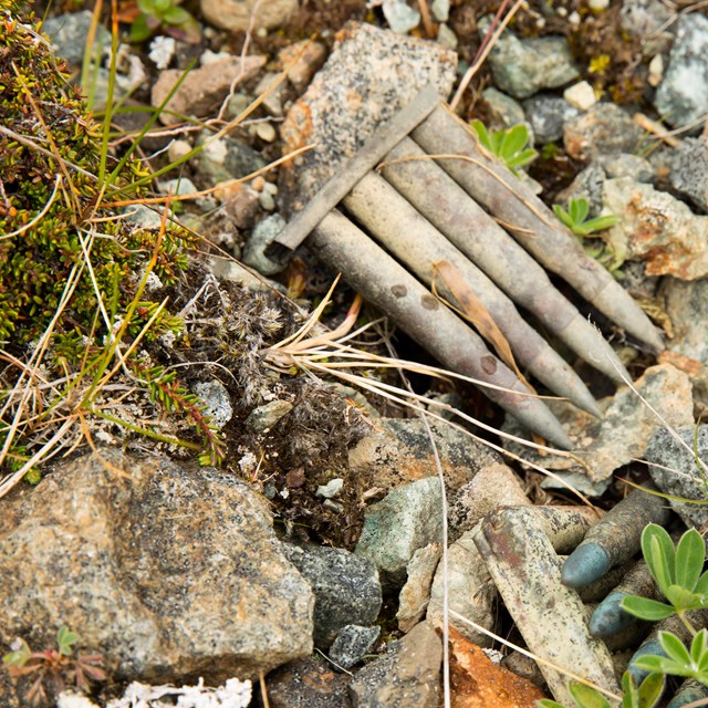 A close look at the ground with pebbles, small plants and mosses, and historic bullets.