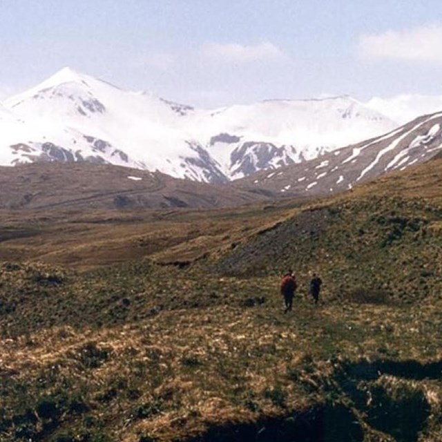 two hikers walk toward a snow-capped mountain amid grassy foothills.