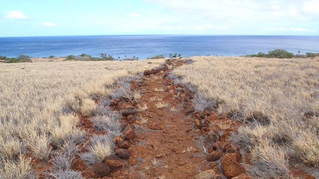 View of dirt path extending toward the ocean coast