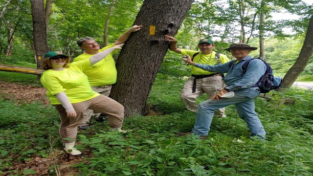 A group of trail crew volunteers pointing to a painted blaze on a tree.