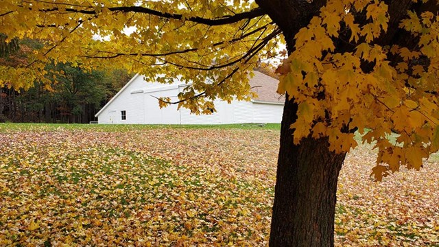 The Engine House with fall foliage. 