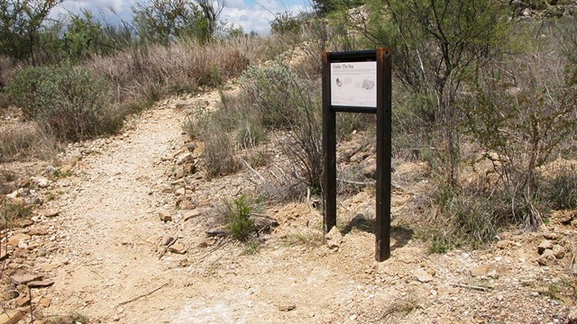 Improved trail with trail sign - NPS Photo