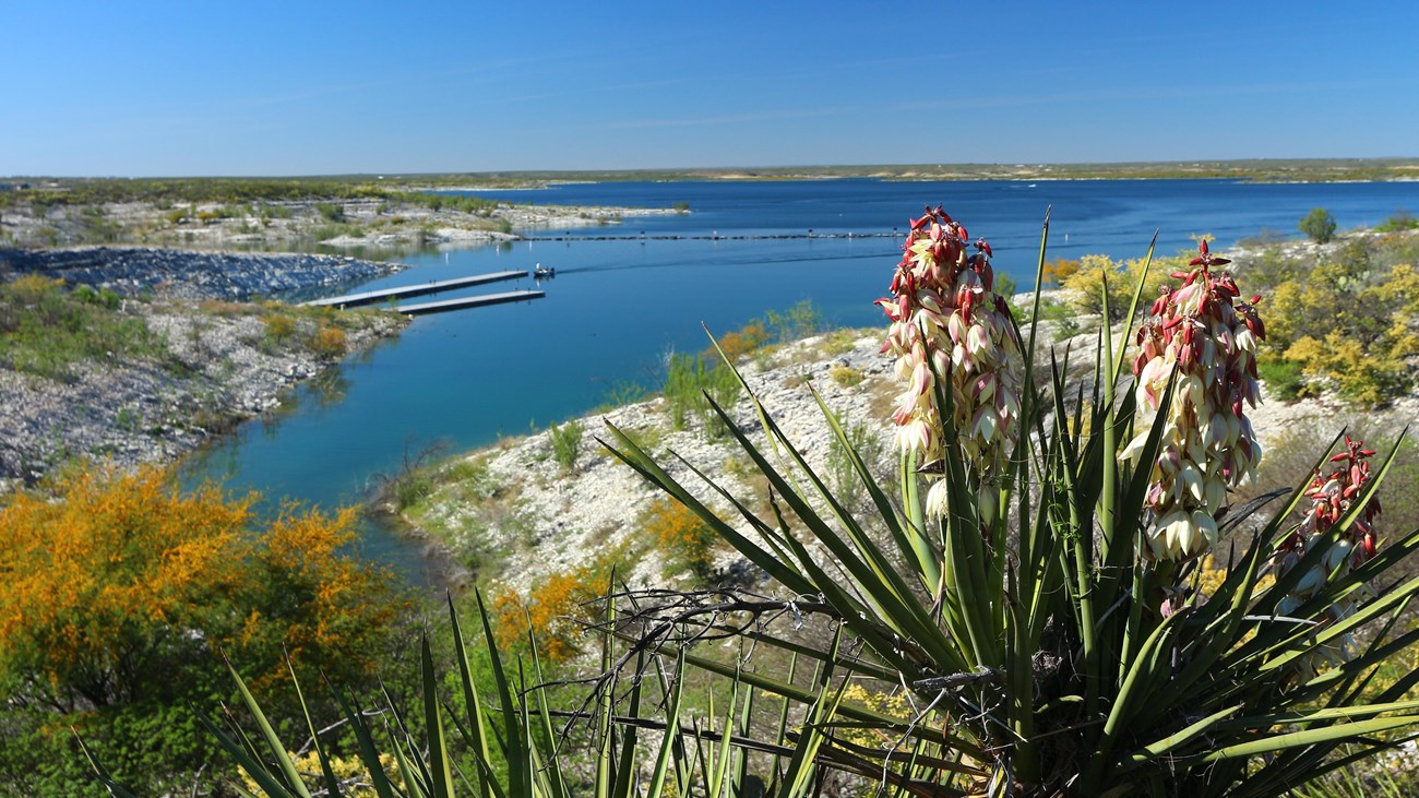 Photo of lake from a cliff with yucca blooming in foreground.