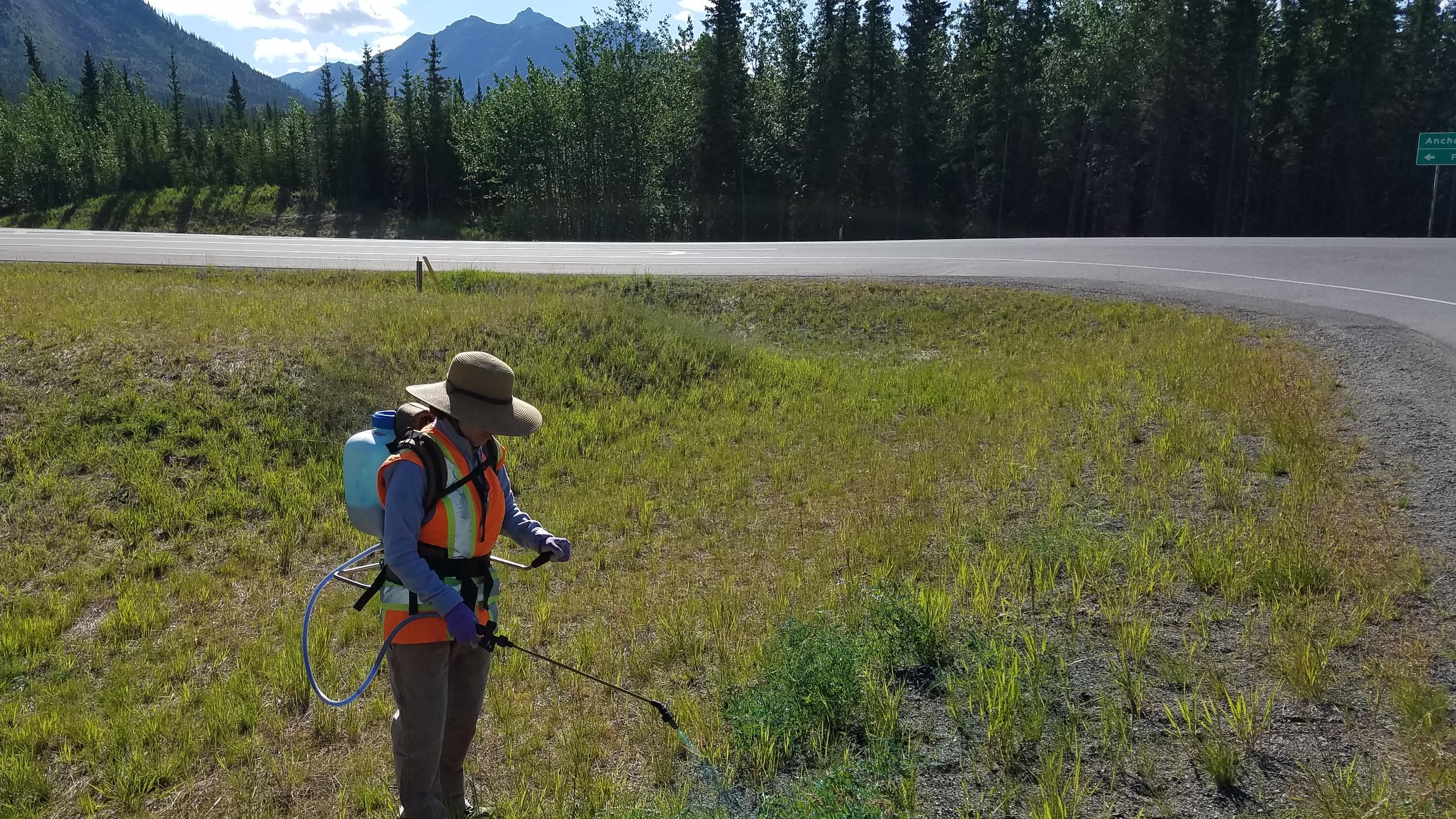 Person in gear, spraying greenery along roadside in wilderness setting.