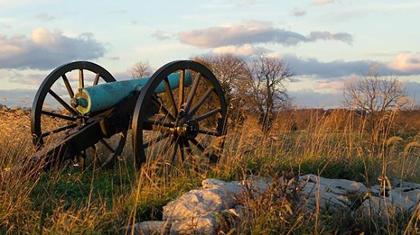Cannon on Piper Farm
