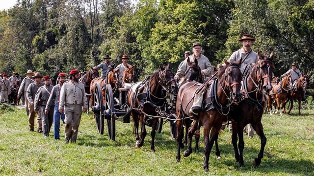 A group of horses pull artillery, surrounded by civil war era dressed soldiers 