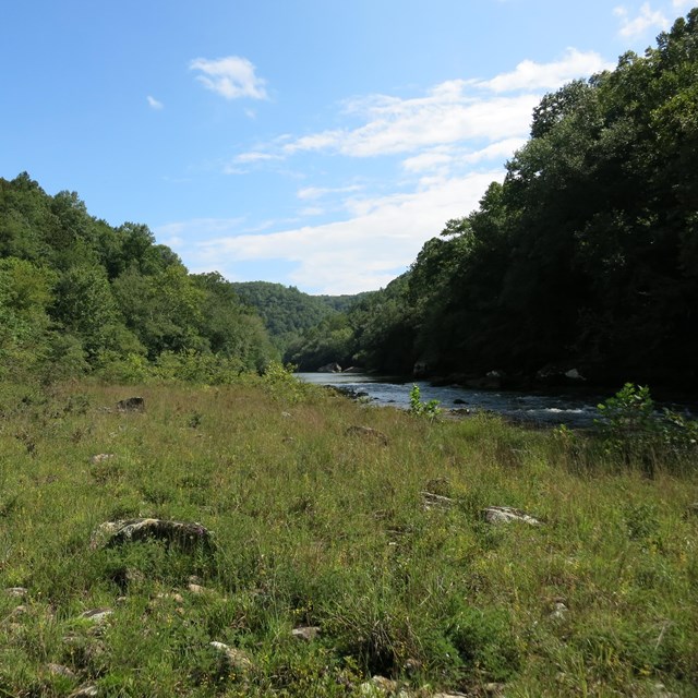 A cobble bar monitoring site in Big South Fork NRRA. The river is in the background. 