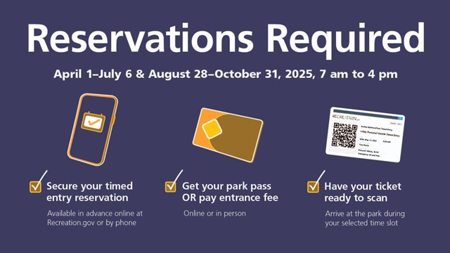 blue poster with graphics of a cellphone, park pass, and QR-coded ticket