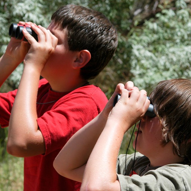 two children look through binoculars