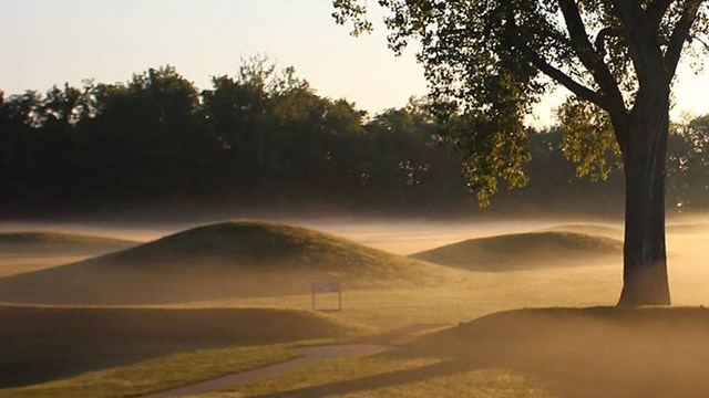 Mounds emerging from the morning mist.