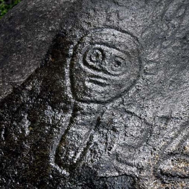 Petroglyphs on gray rock