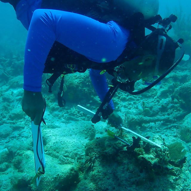Underwater archeologists work underwater.