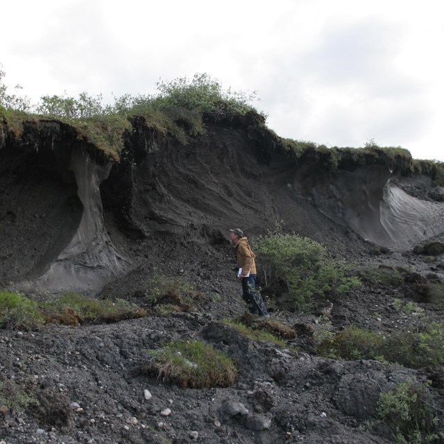 Landscape Ecologist inspects a permafrost thaw slump.