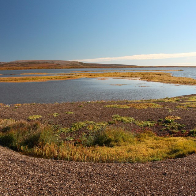 Krusenstern lagoon in fall.
