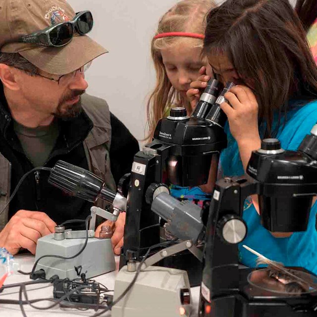 Young girls crowd around a microscope to take a look.