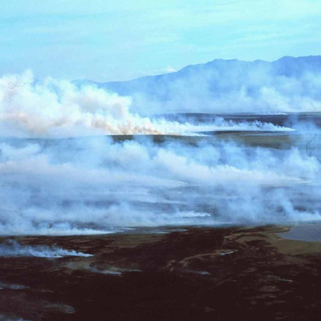 A fire burns across Arctic tundra.