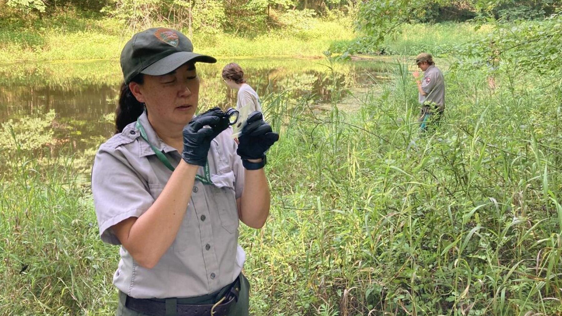 A park ranger looks at a bug with a magnifying lens.